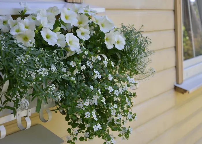 Апартаменты Papli Villade *